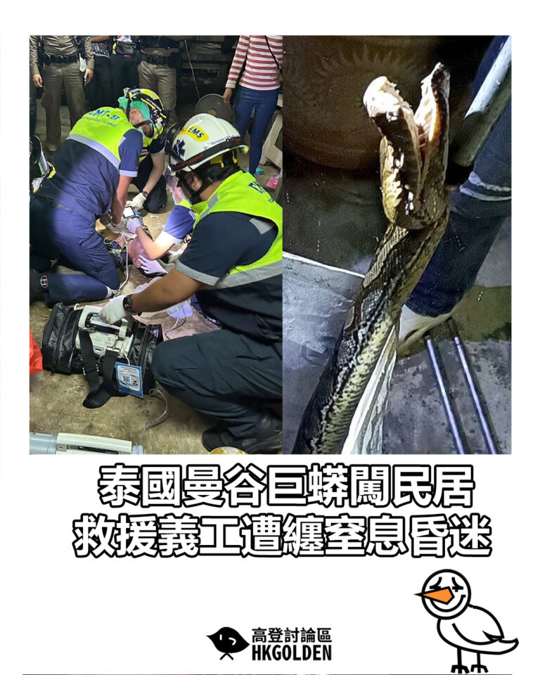 【泰國曼谷巨蟒闖民居 救援義工遭纏窒息昏迷】