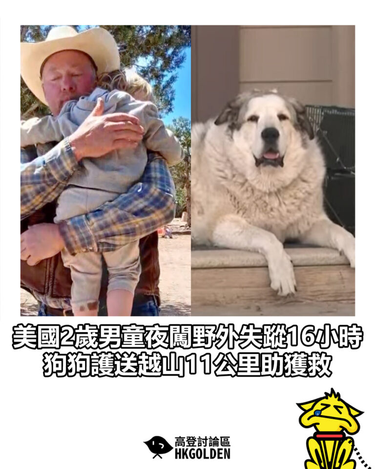 【美國2歲男童夜闖野外失蹤16小時　狗狗護送越山11公里助獲救】
