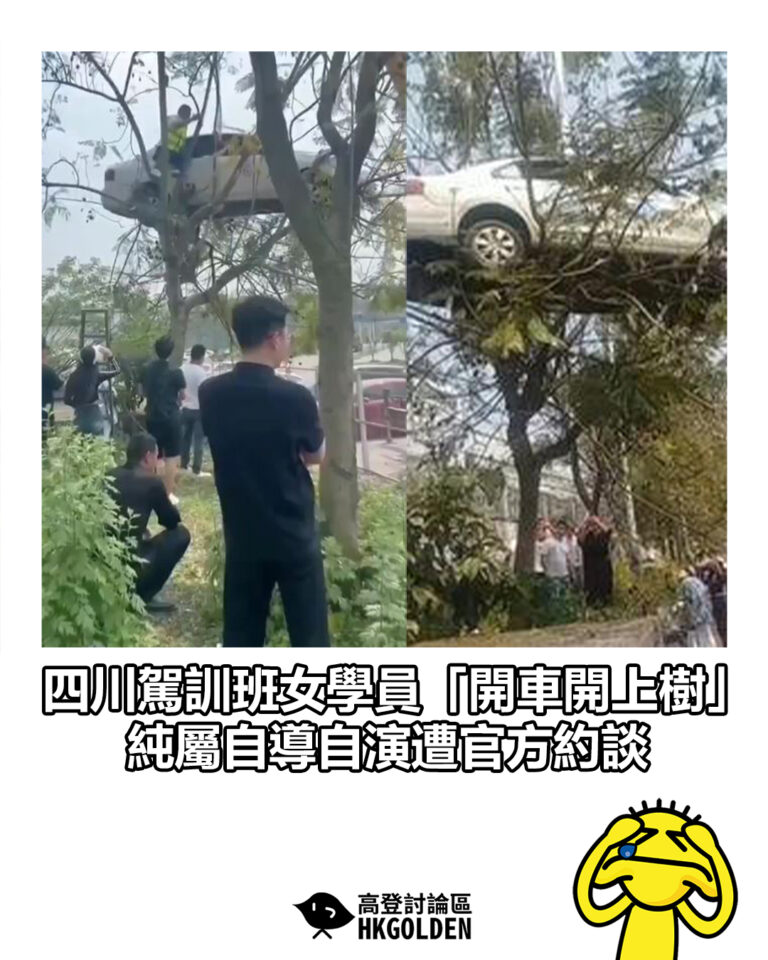 【四川駕訓班女學員「開車開上樹」 純屬自導自演遭官方約談 】