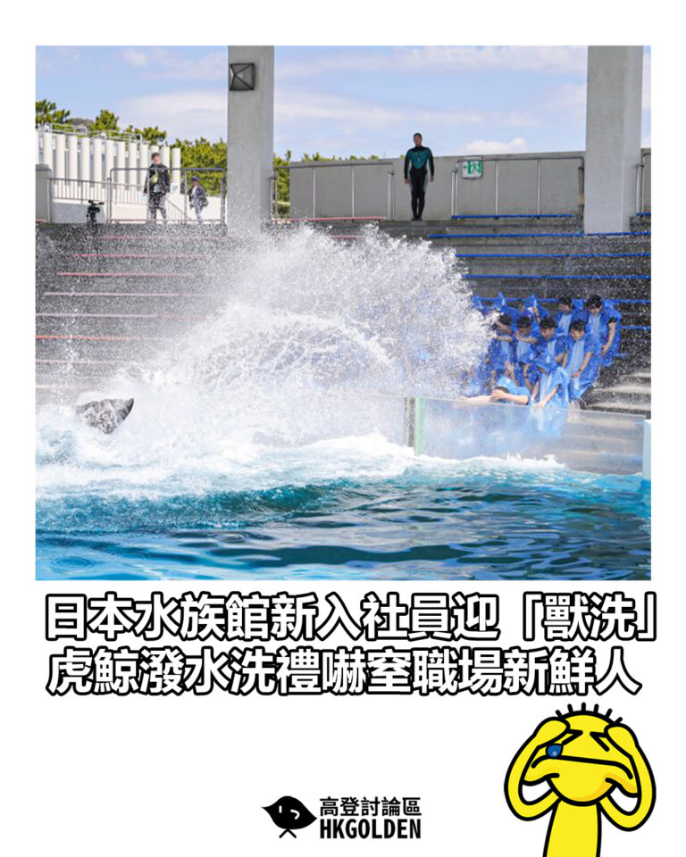 【日本水族館新入社員迎「獸洗」　虎鯨潑水洗禮嚇窒職場新鮮人】