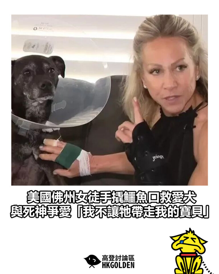 【美國佛州女徒手撬鱷魚口救愛犬　與死神爭愛「我不讓牠帶走我的寶貝」】