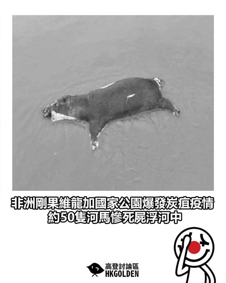 【非洲剛果維龍加國家公園爆發炭疽疫情　逾50隻河馬慘死屍浮河中】