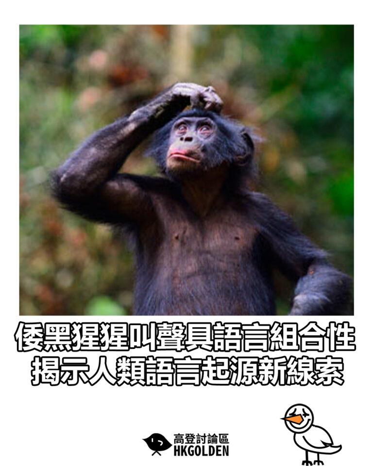 【倭黑猩猩叫聲具語言組合性　揭示人類語言起源新線索】