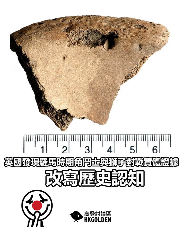 【英國發現羅馬時期角鬥士與獅子對戰實體證據　改寫歷史認知】