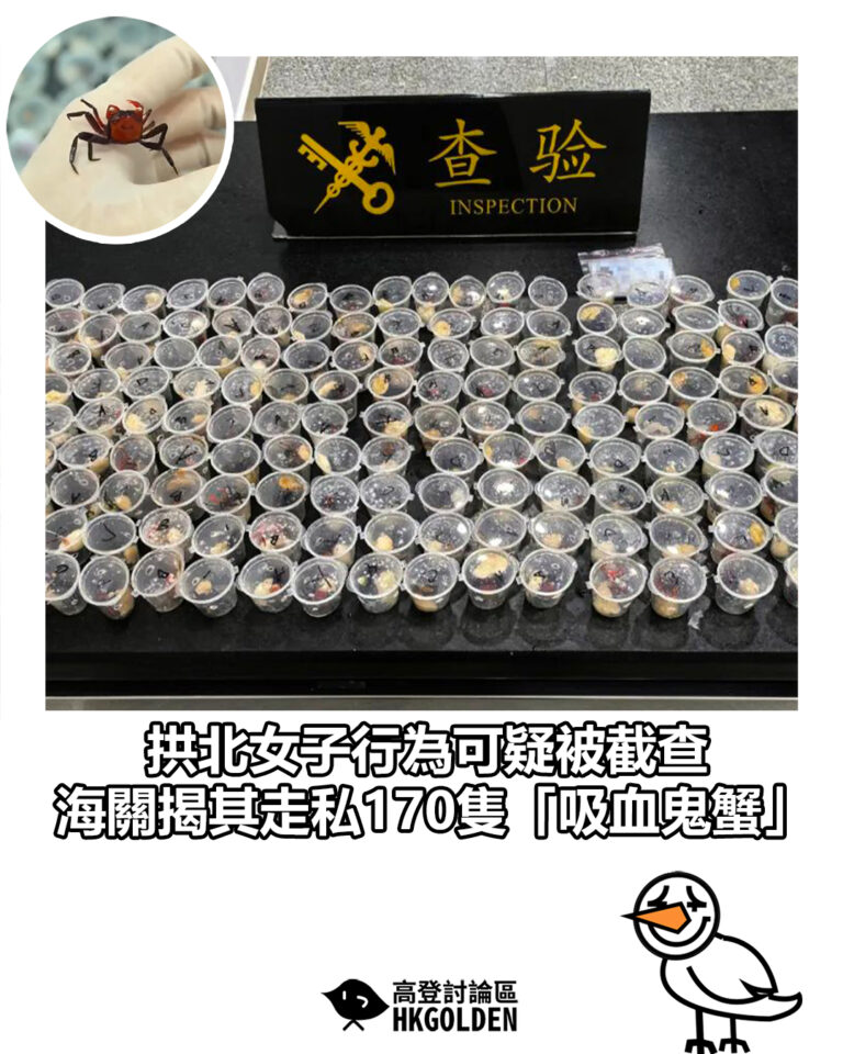 【拱北女子行為可疑被截查　海關揭其走私170隻「吸血鬼蟹」】