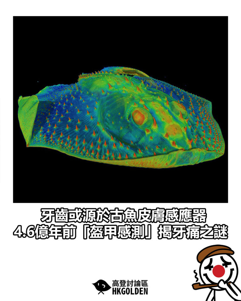 【牙齒或源於古魚皮膚感應器　4.6億年前「盔甲感測」揭牙痛之謎】