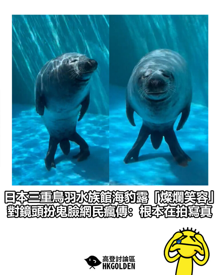 【日本三重鳥羽水族館海豹露「燦爛笑容」　對鏡頭扮鬼臉網民瘋傳：根本在拍寫真】