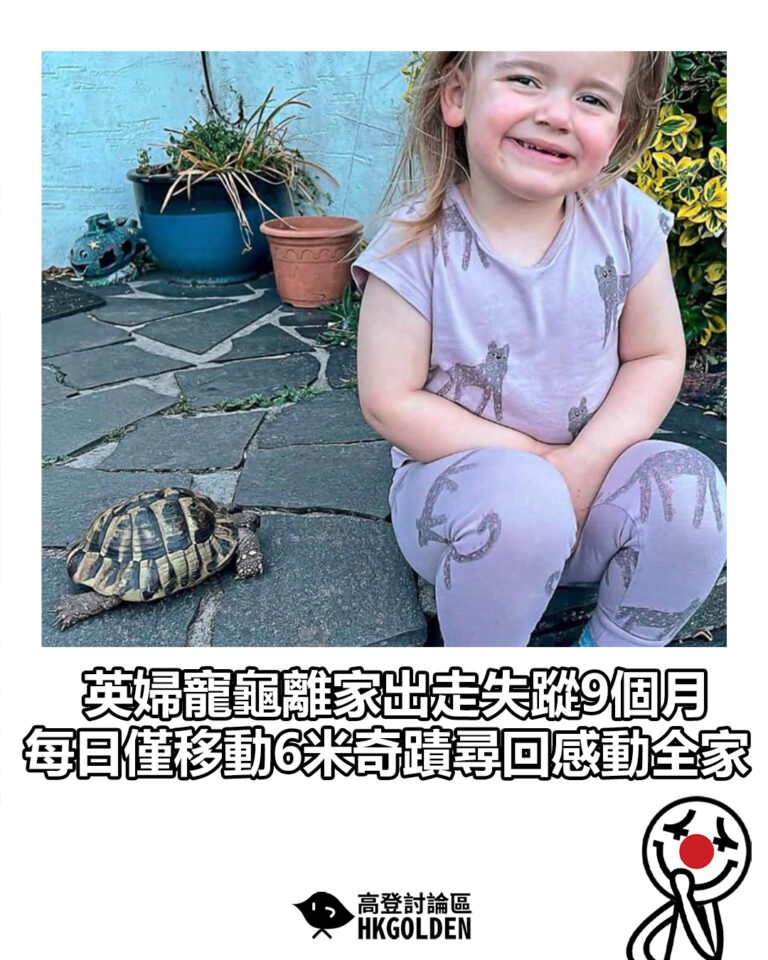 【英婦寵龜離家出走失蹤9個月　每日僅移動6米奇蹟尋回感動全家】