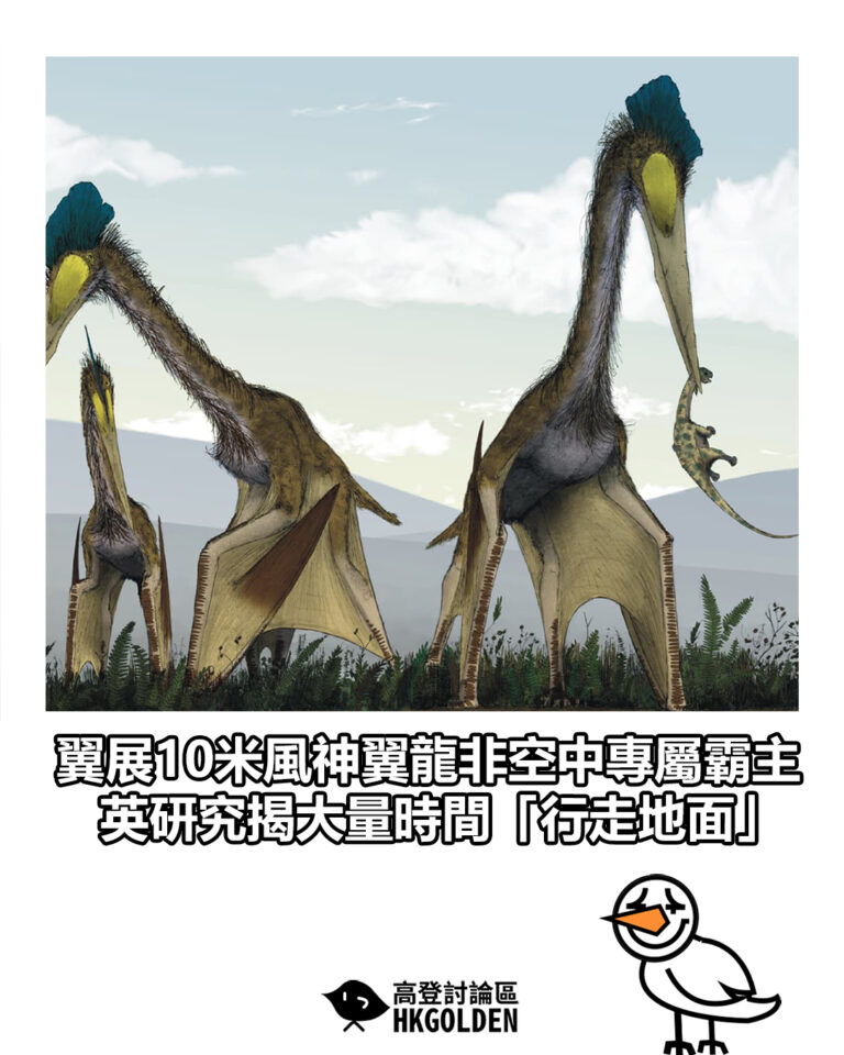 【翼展10米風神翼龍非空中專屬霸主　英研究揭大量時間「行走地面」】