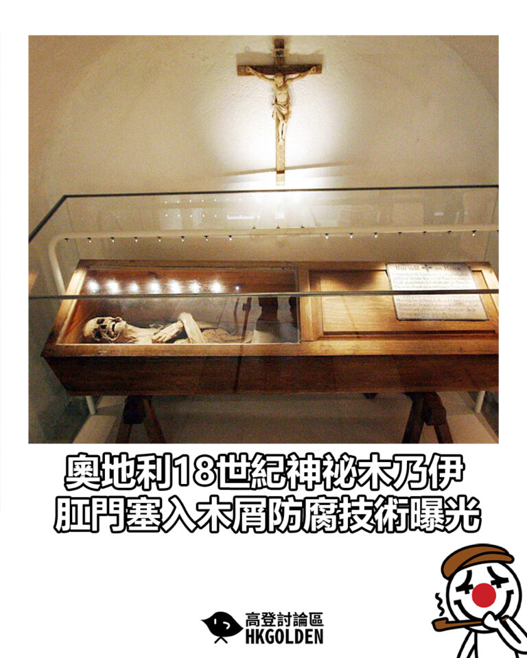 【奧地利18世紀神祕木乃伊　肛門塞入木屑防腐技術曝光】