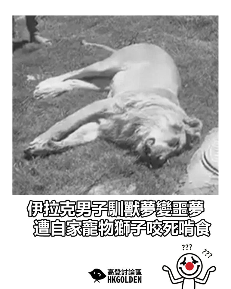 【伊拉克男子馴獸夢變噩夢　遭自家寵物獅子咬死啃食】
