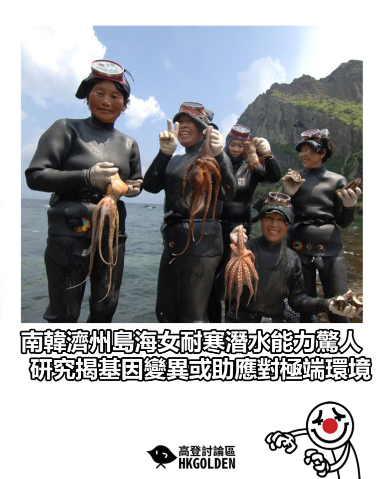 【南韓濟州島海女耐寒潛水能力驚人　研究揭基因變異或助應對極端環境】