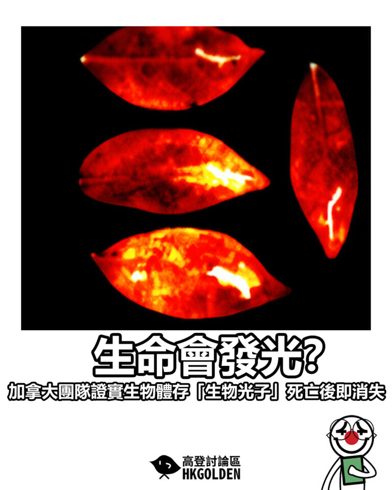 【生命會發光？　加拿大團隊證實生物體存「生物光子」　死亡後即消失】