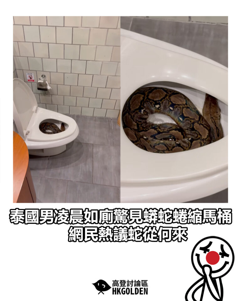 【泰國男凌晨如廁驚見蟒蛇蜷縮馬桶　網民熱議蛇從何來】