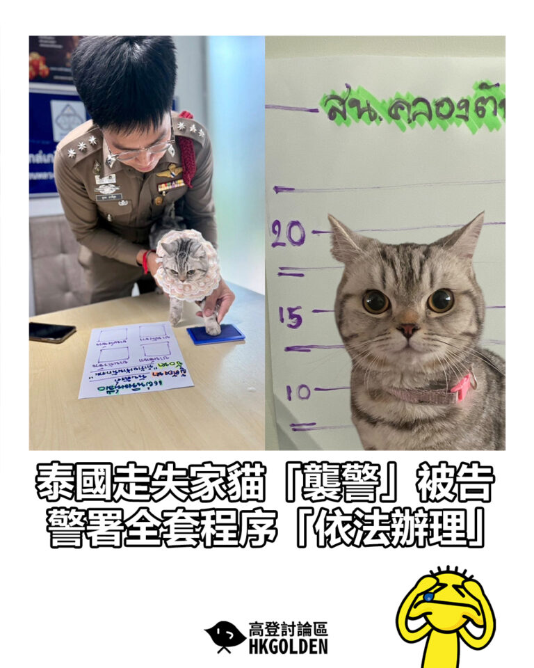 【泰國走失家貓「襲警」被告　警署全套程序「依法辦理」】