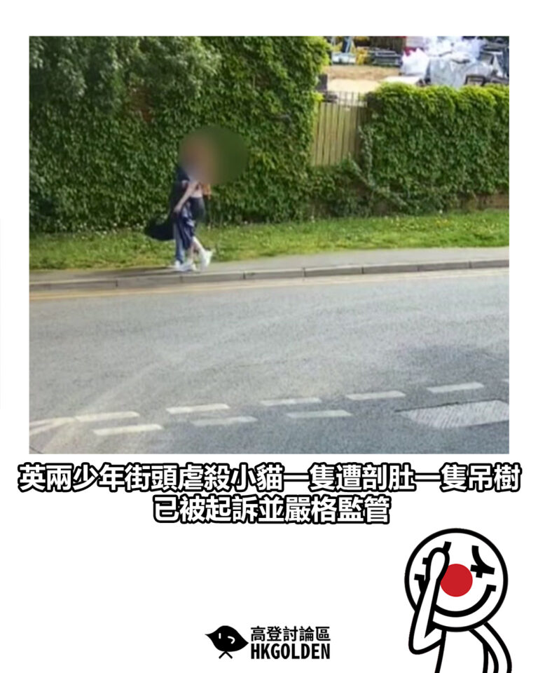 【英兩少年街頭虐殺小貓一隻遭剖肚一隻吊樹　已被起訴並嚴格監管】