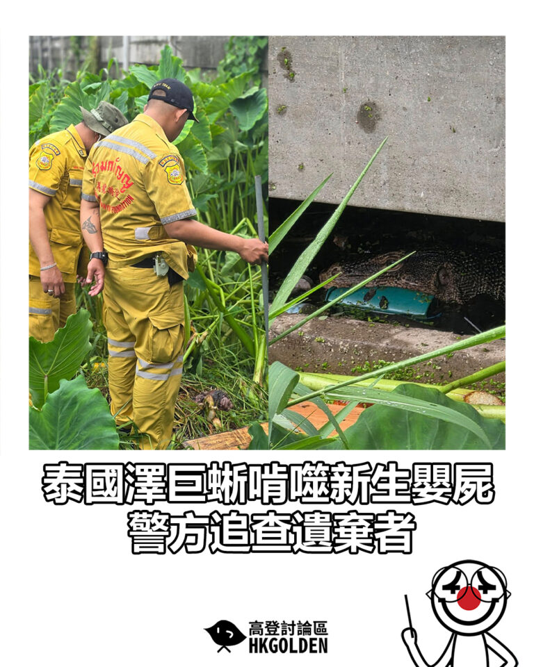 【泰國澤巨蜥啃噬新生嬰屍　警方追查遺棄者】