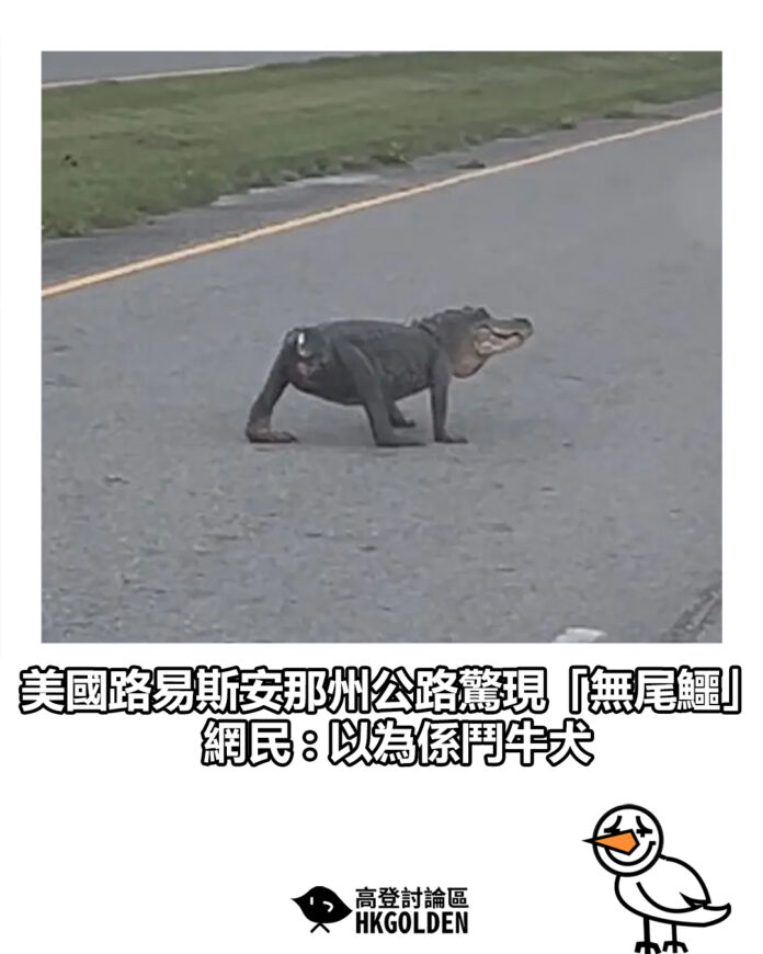 gsdgsgsd