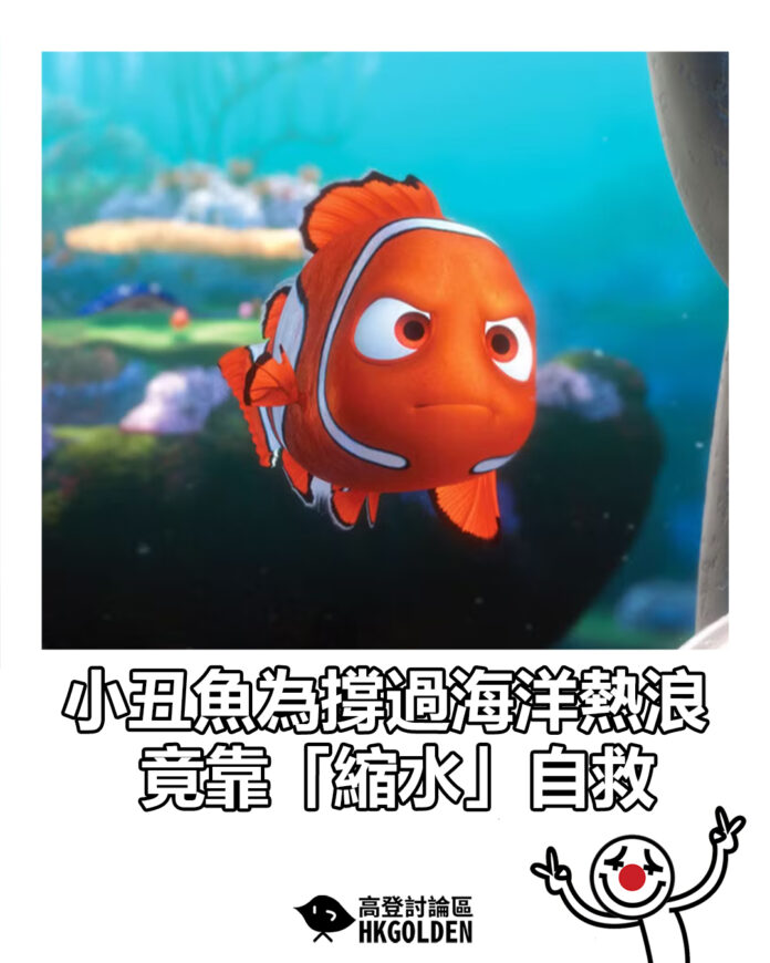 rfhgsdhsdhsd