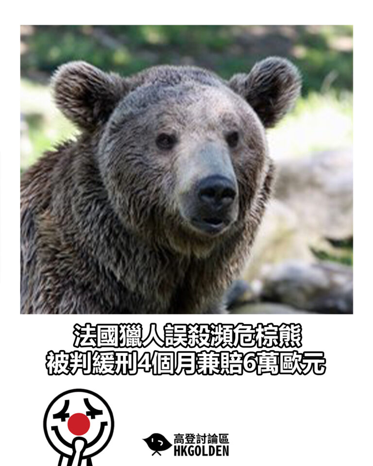【法國獵人誤殺瀕危棕熊　被判緩刑4個月兼賠6萬歐元】