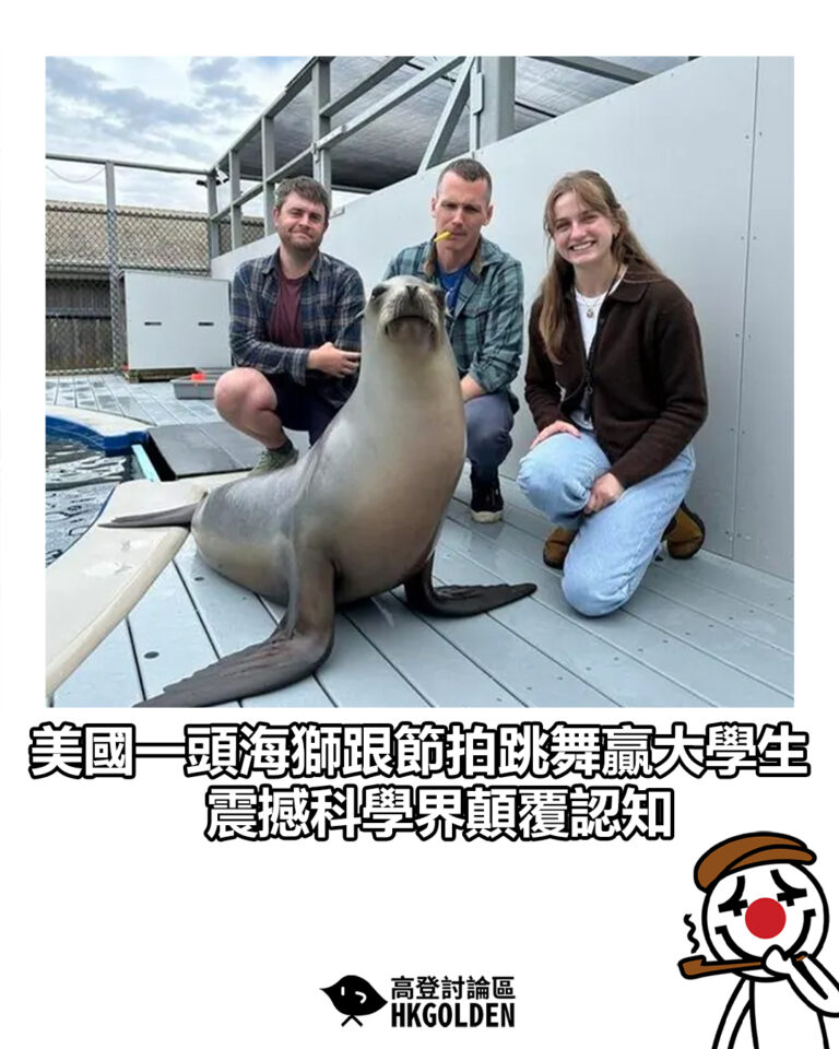 【美國一頭海獅跟節拍跳舞贏大學生　震撼科學界顛覆認知】