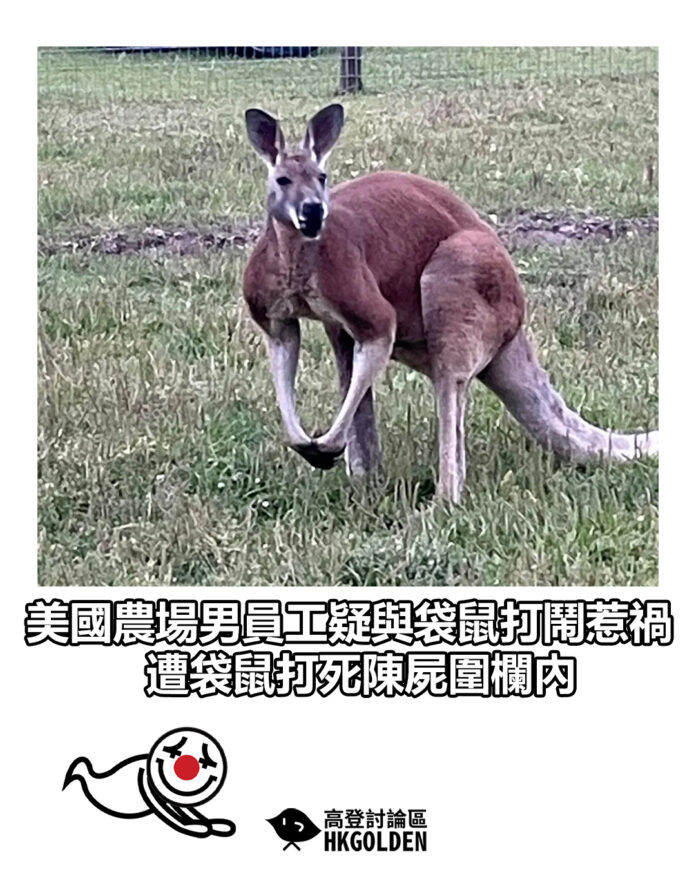sdgsagassg