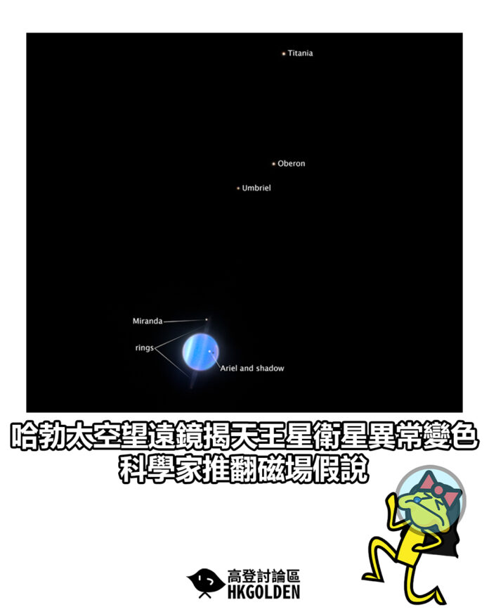 dfgsdgaga
