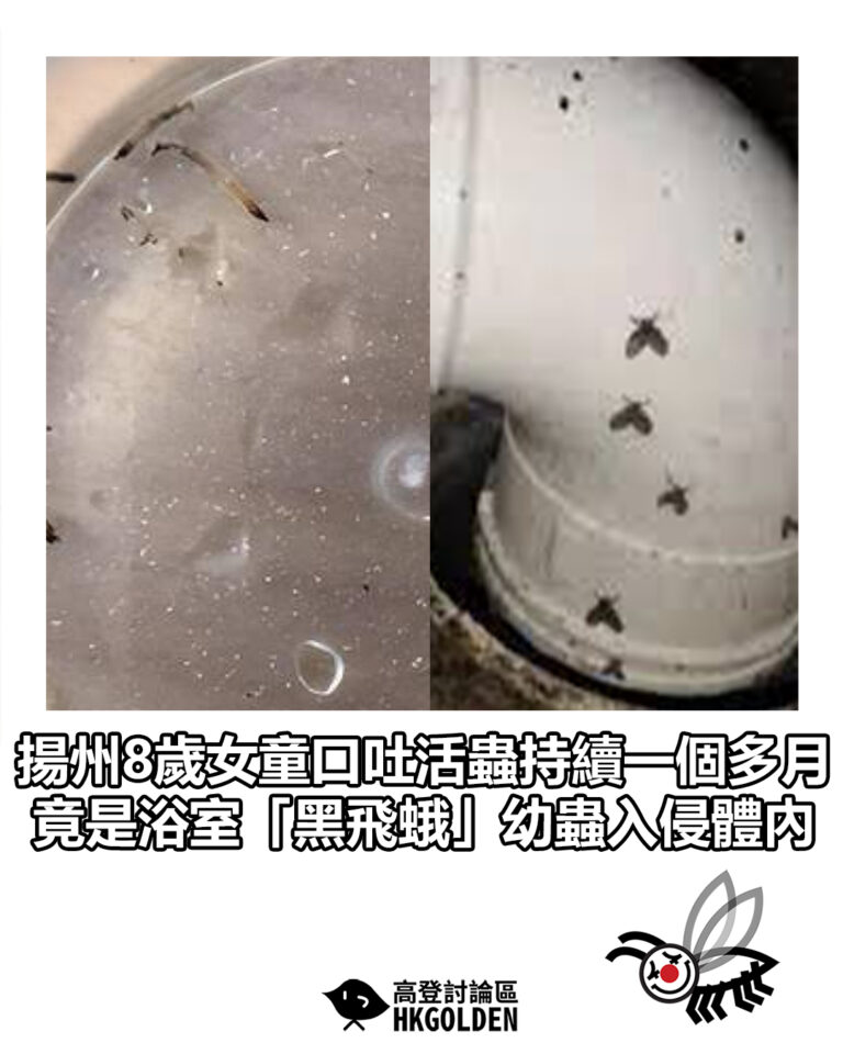 【揚州8歲女童口吐活蟲持續一個多月　竟是浴室「黑飛蛾」幼蟲入侵體內】