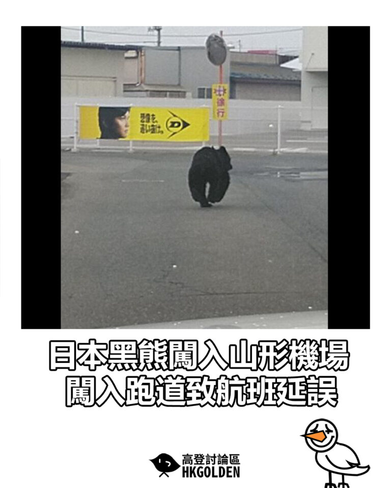 【日本黑熊闖入山形機場 闖入跑道致航班延誤】