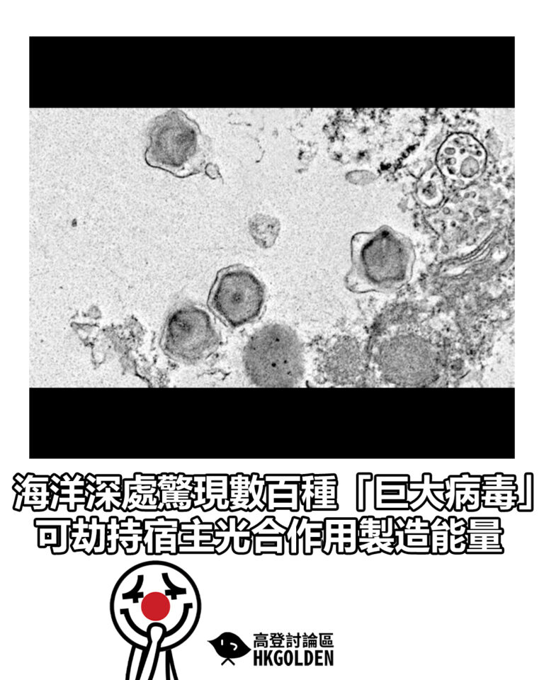 【海洋深處驚現數百種「巨大病毒」　可劫持宿主光合作用製造能量】