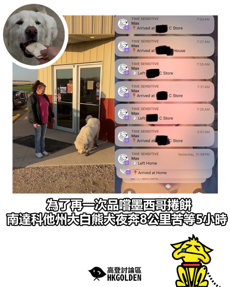 【為了再一次品嚐墨西哥捲餅 南達科他州大白熊犬夜奔8公里苦等5小時】