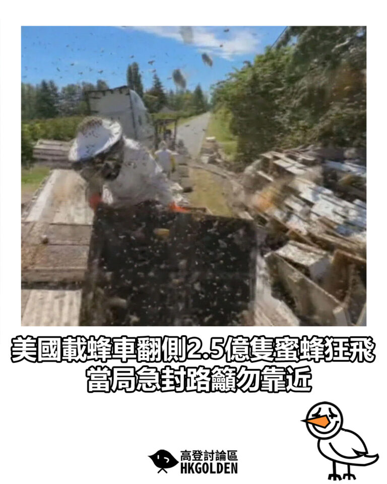 【美國載蜂車翻側2.5億隻蜜蜂狂飛　當局急封路籲勿靠近】