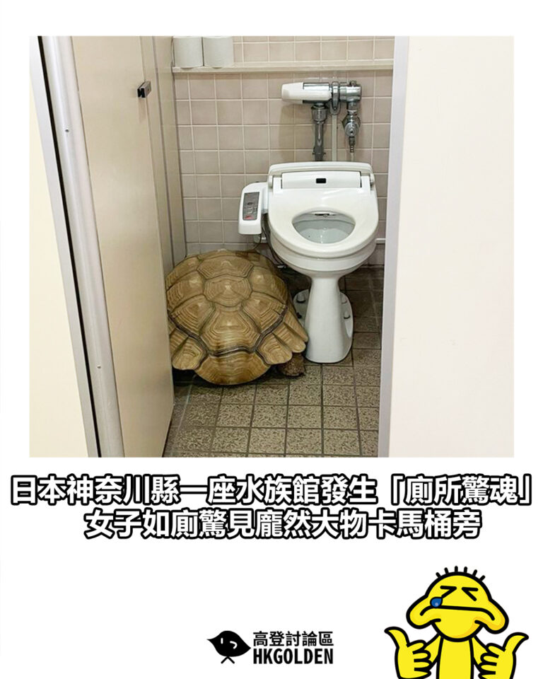 【日本神奈川縣一座水族館發生「廁所驚魂」 女子如廁驚見龐然大物卡馬桶旁】