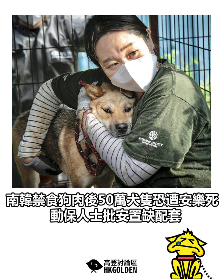 【南韓禁食狗肉後50萬犬隻恐遭安樂死　動保人士批安置缺配套】