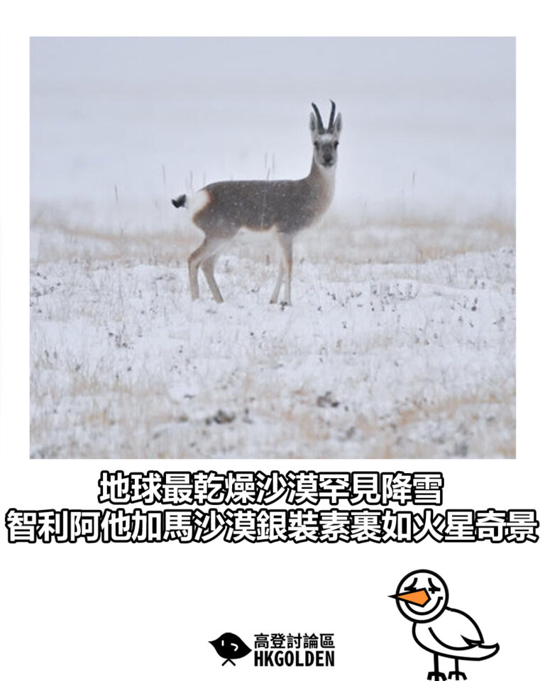 【地球最乾燥沙漠罕見降雪　智利阿他加馬沙漠銀裝素裹如火星奇景】
