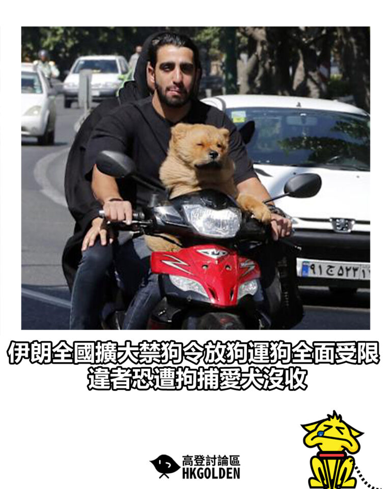 【伊朗全國擴大禁狗令放狗運狗全面受限　違者恐遭拘捕愛犬沒收】