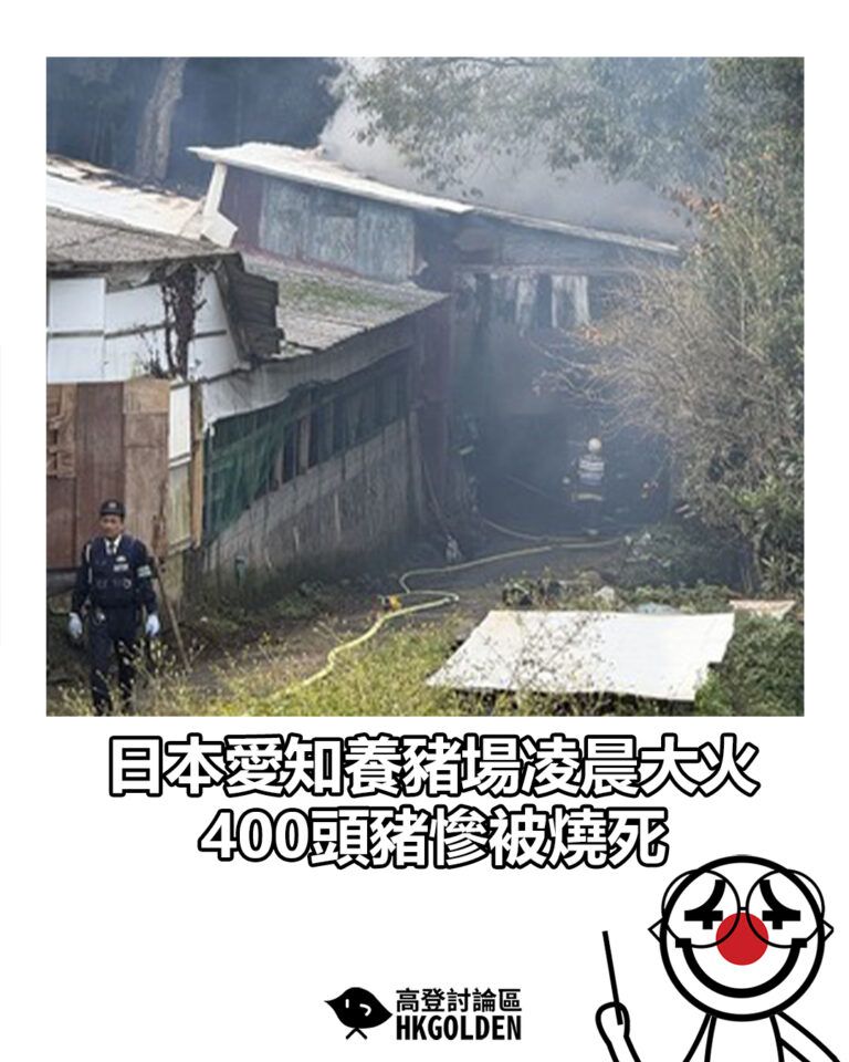 【日本愛知養豬場凌晨大火　400頭豬慘被燒死】