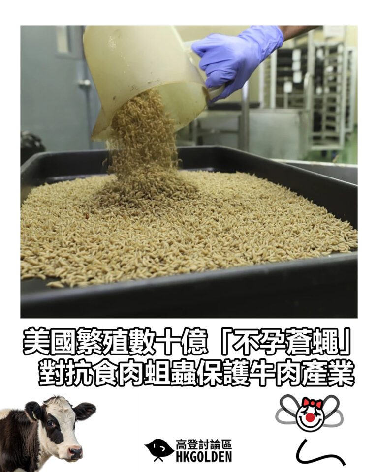 【美國繁殖數十億「不孕蒼蠅」 對抗食肉蛆蟲保護牛肉產業】