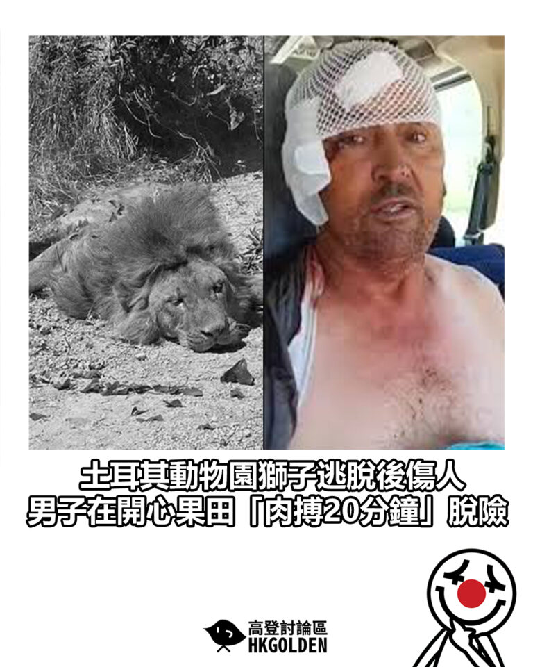 【土耳其動物園獅子逃脫後傷人　男子在開心果田「肉搏20分鐘」脫險】