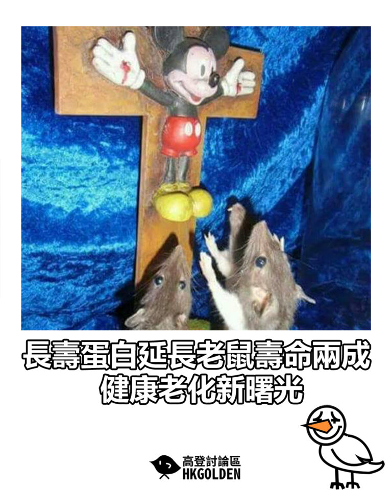【長壽蛋白延長老鼠壽命兩成 健康老化新曙光】