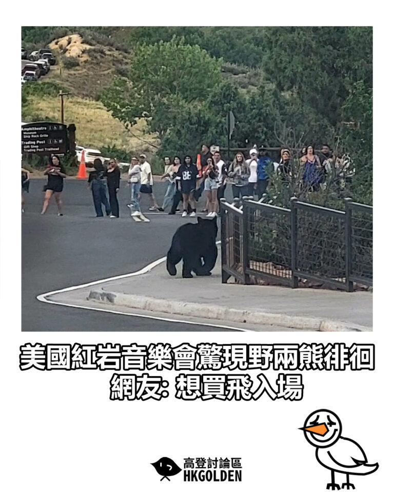【美國紅岩音樂會驚現野兩熊徘徊 網友: 想買飛入場】