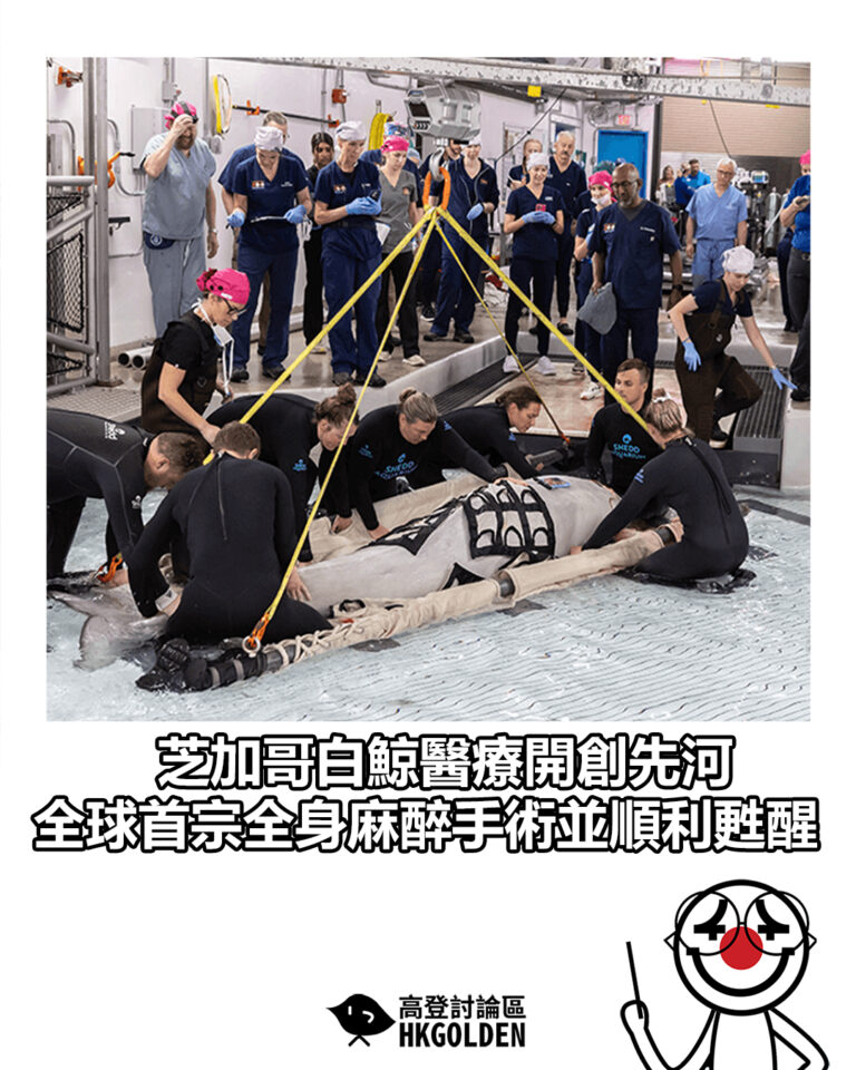 【芝加哥白鯨醫療開創先河 全球首宗全身麻醉手術並順利甦醒】