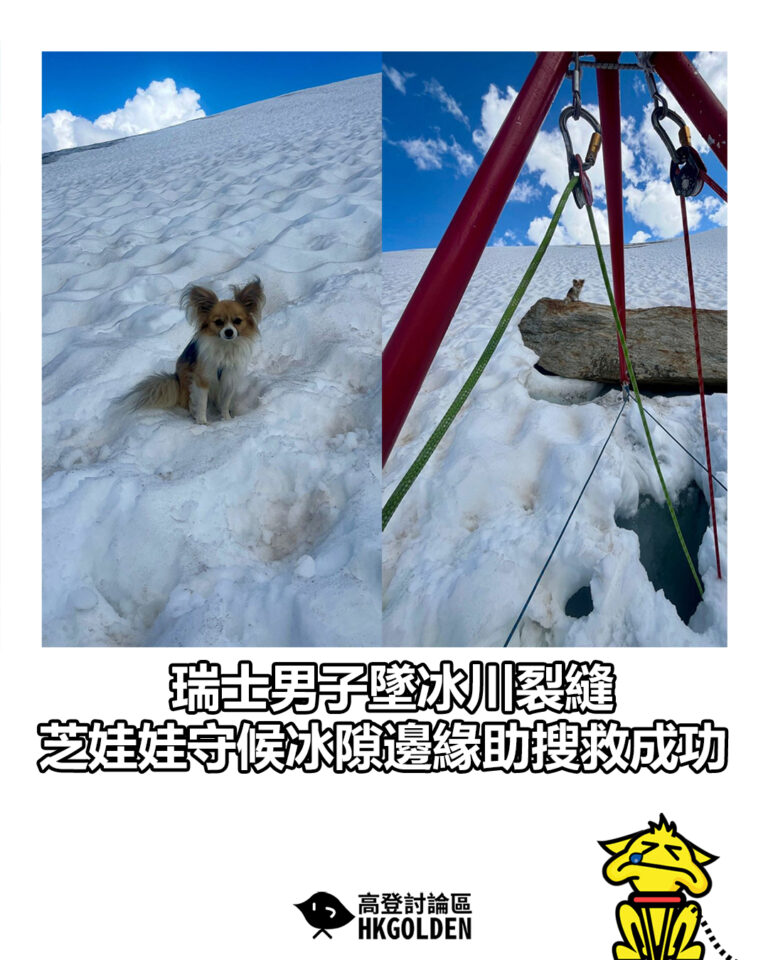 【瑞士男子墜冰川裂縫　芝娃娃守候冰隙邊緣助搜救成功】