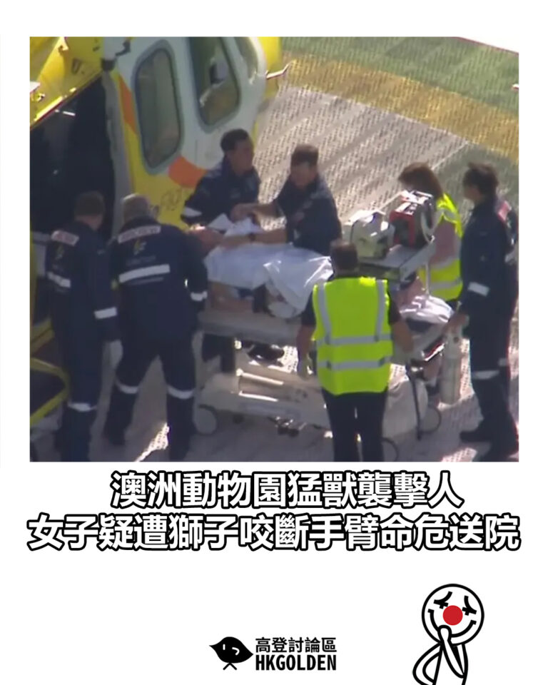 【澳洲動物園猛獸襲擊人　女子疑遭獅子咬斷手臂命危送院】