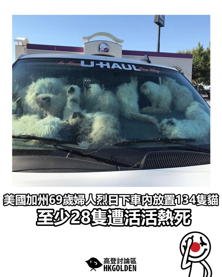 【美國加州69歲婦人烈日下車內放置134隻貓 至少28隻遭活活熱死】
