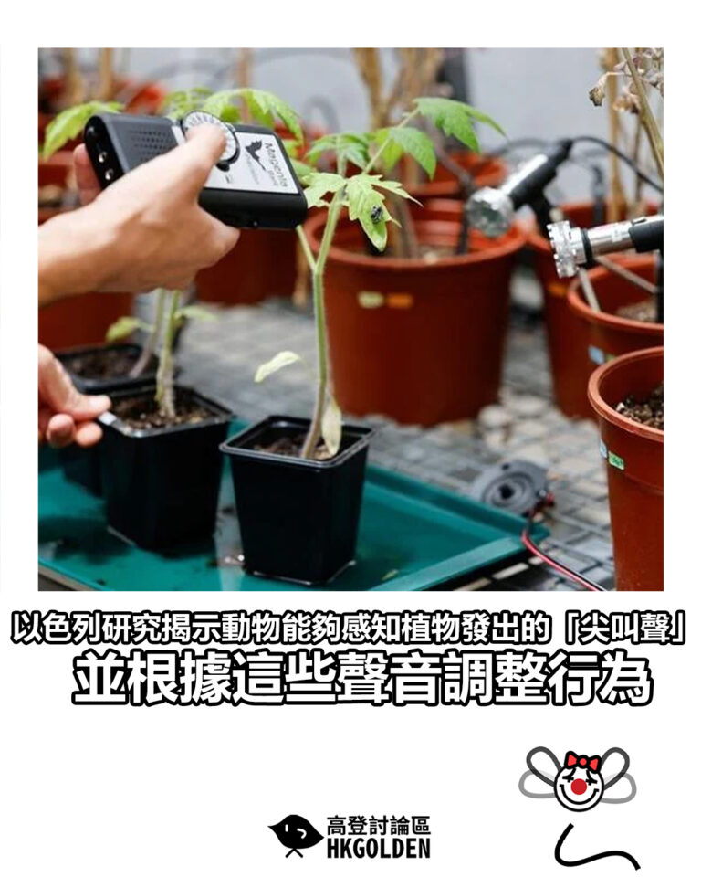 【以色列研究揭示動物能夠感知植物發出的「尖叫聲」 並根據這些聲音調整行為】