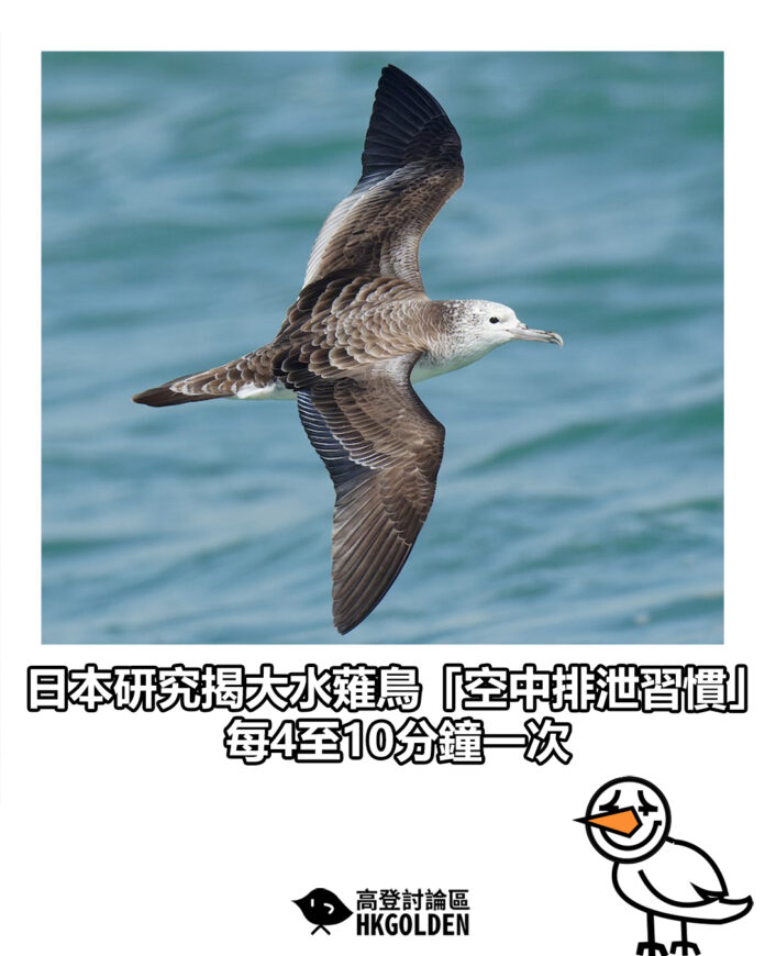 sdgsgag