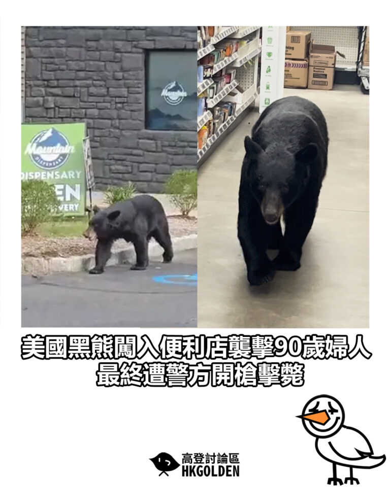 【美國黑熊闖入便利店襲擊90歲婦人 最終遭警方開槍擊斃】