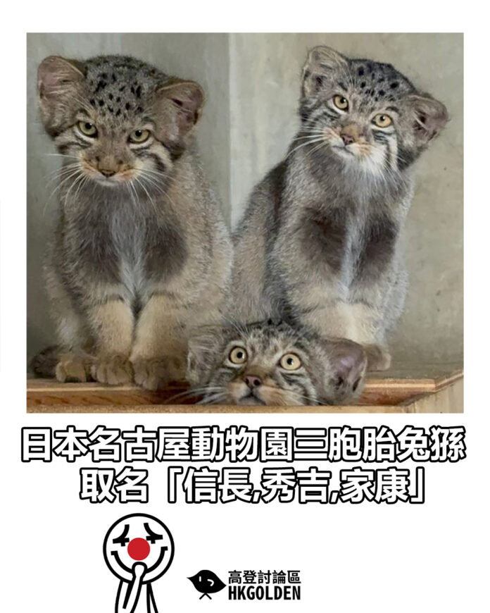 dsgsdgsagg