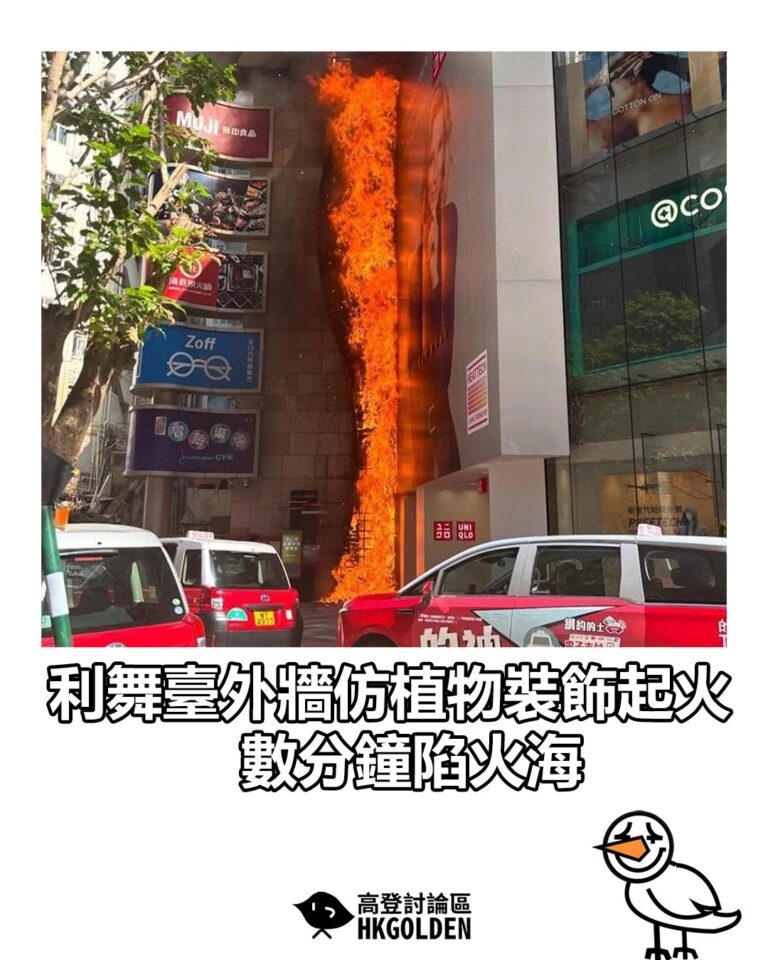【利舞臺外牆仿植物裝飾起火　數分鐘陷火海】